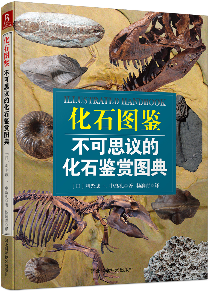 化石图鉴：不可思议的化石鉴赏图典