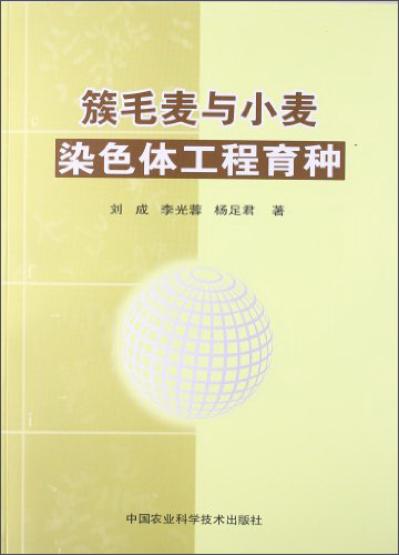 簇毛麦与小麦染色体工程育种