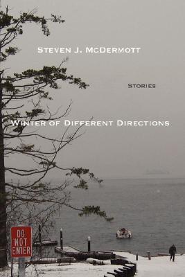 【预订】winter of different directions