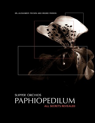 Slipper Orchids, Paphiopedilum: All