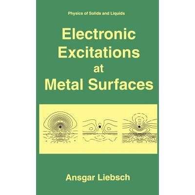 预订 Electronic Excitations at Metal Surfaces