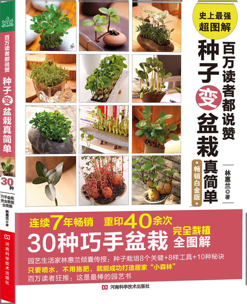百万读者都说赞：种子变盆栽真简单