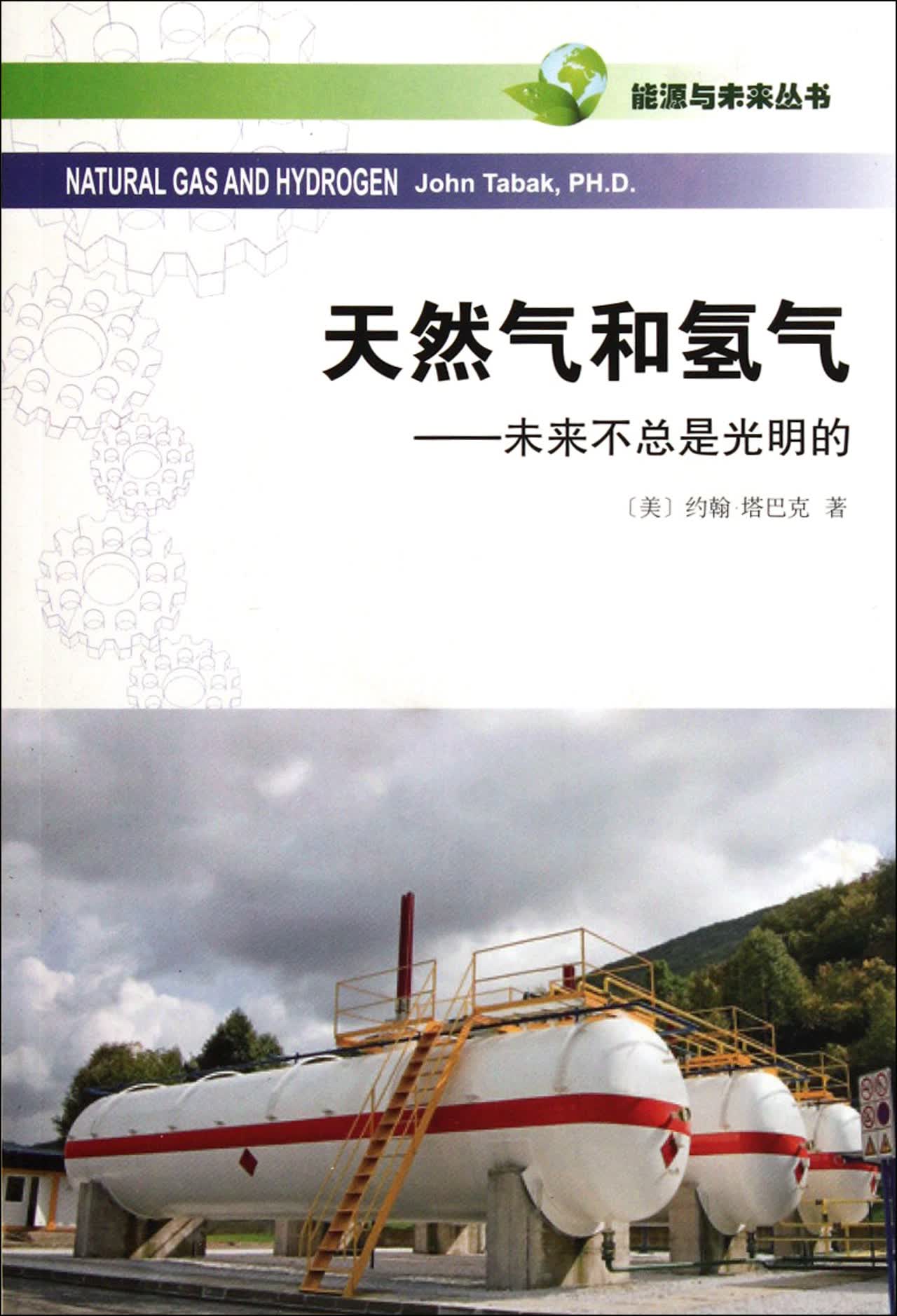 天然气和氢气--未来不总是光明的/能源与未来丛书