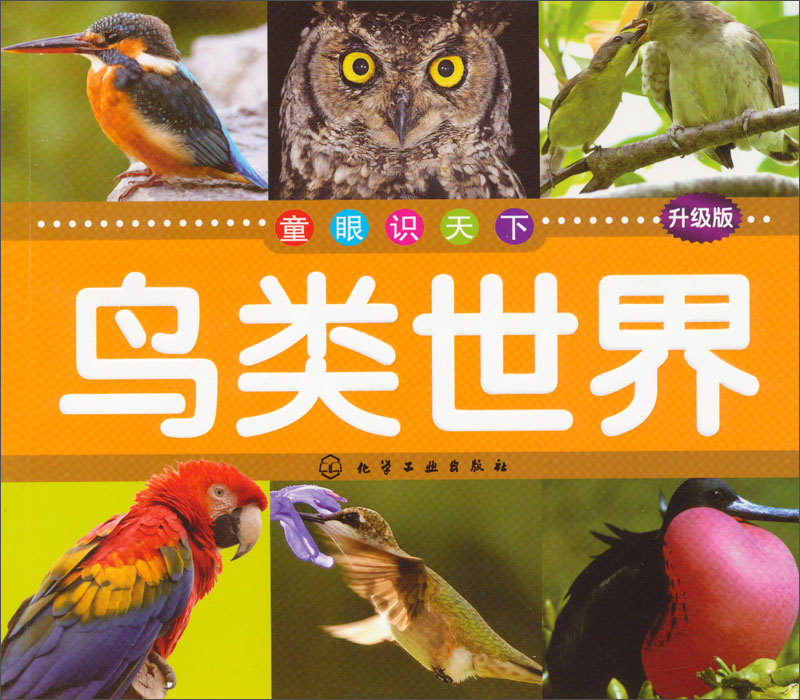 童眼识天下：鸟类世界（升级版）