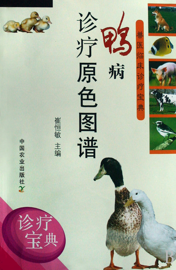 鸭病诊疗原色图谱/兽医临床诊疗宝典