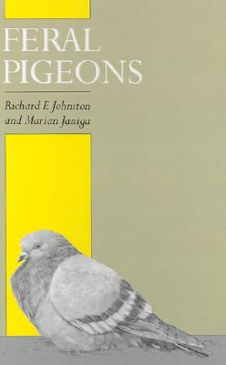 Feral Pigeons