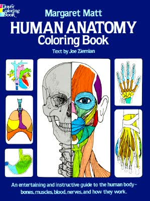 Human Anatomy Coloring Book