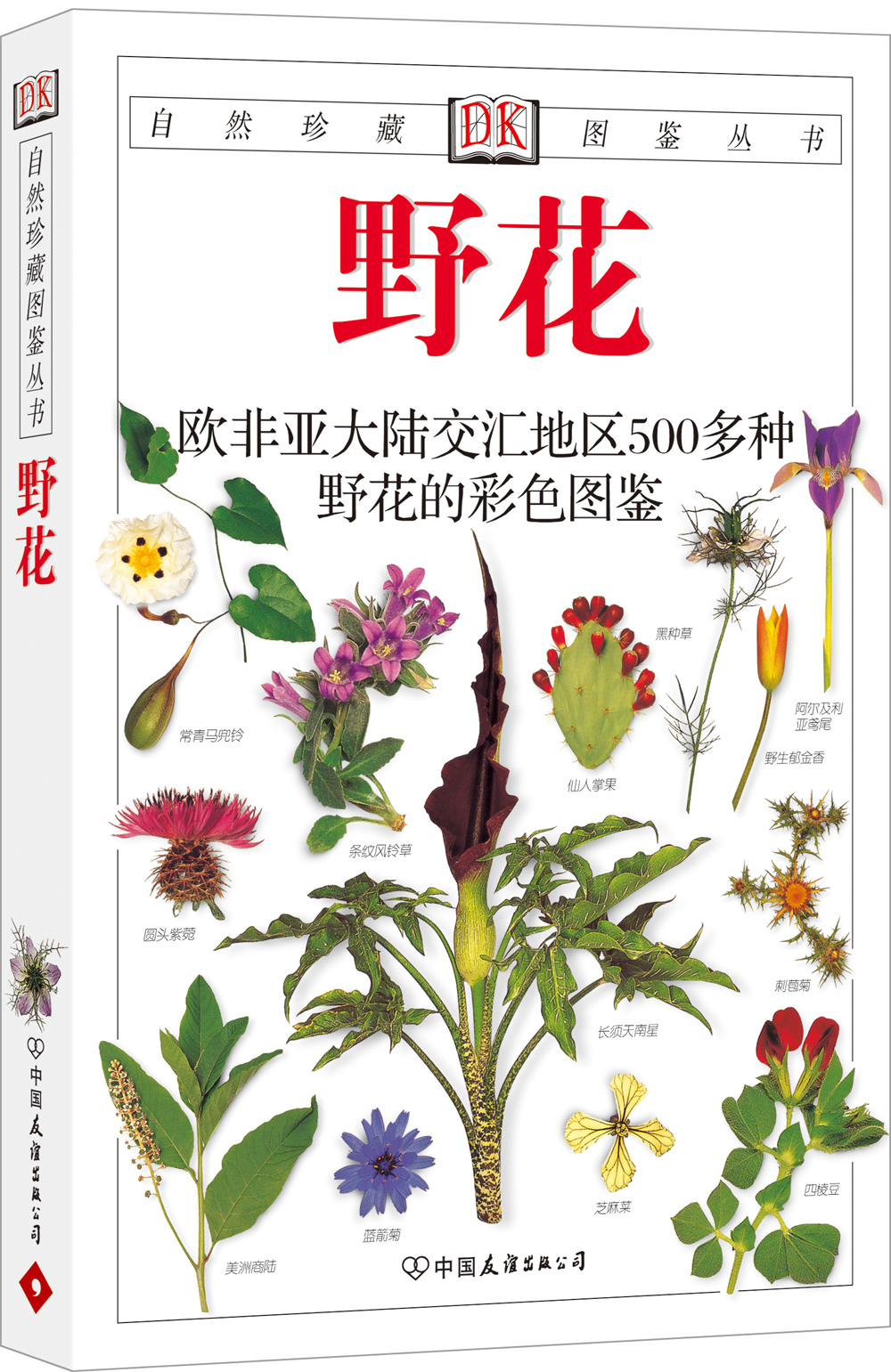 自然珍藏图鉴丛书:野花