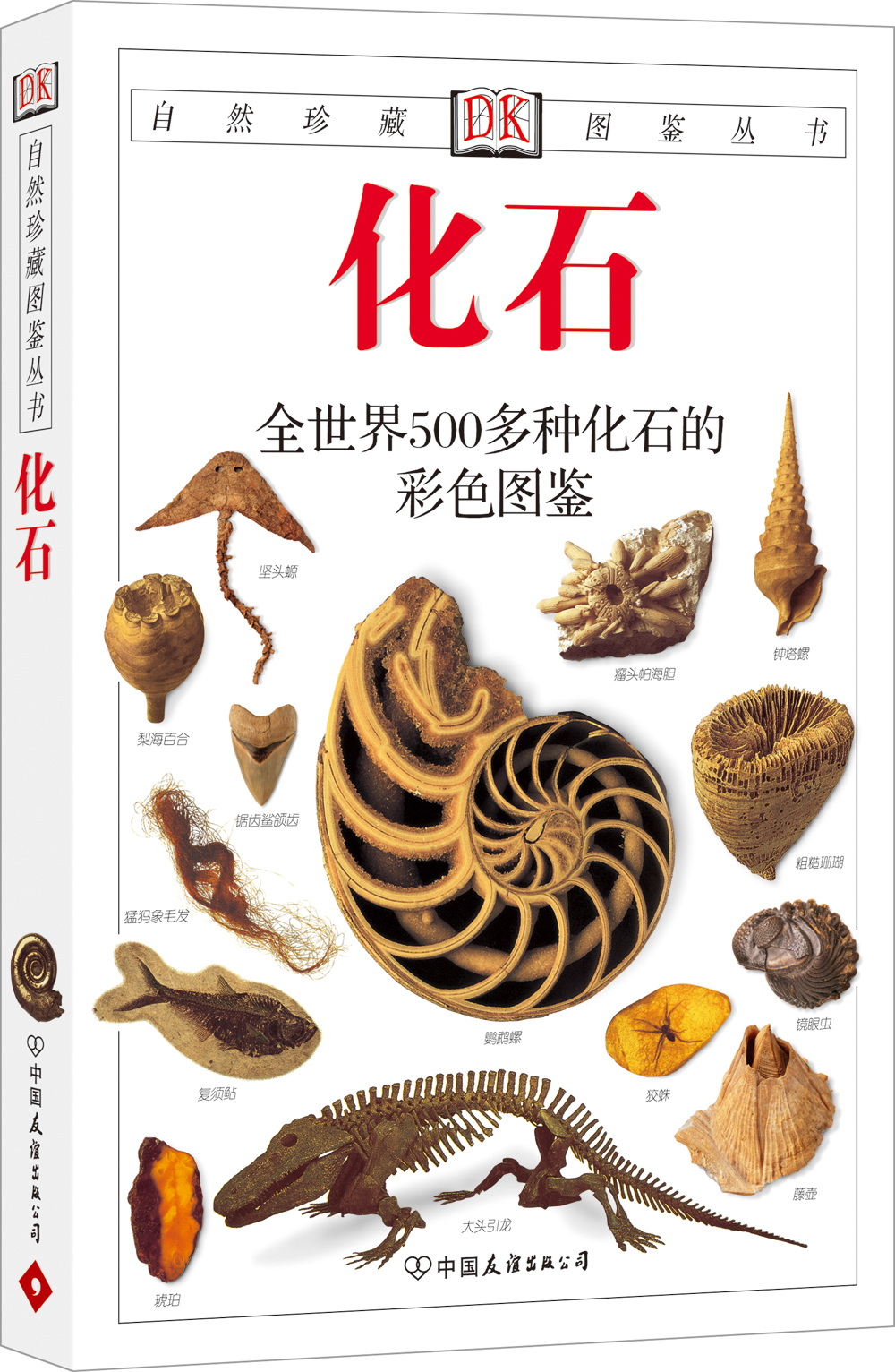 自然珍藏图鉴丛书：化石 mobi格式下载