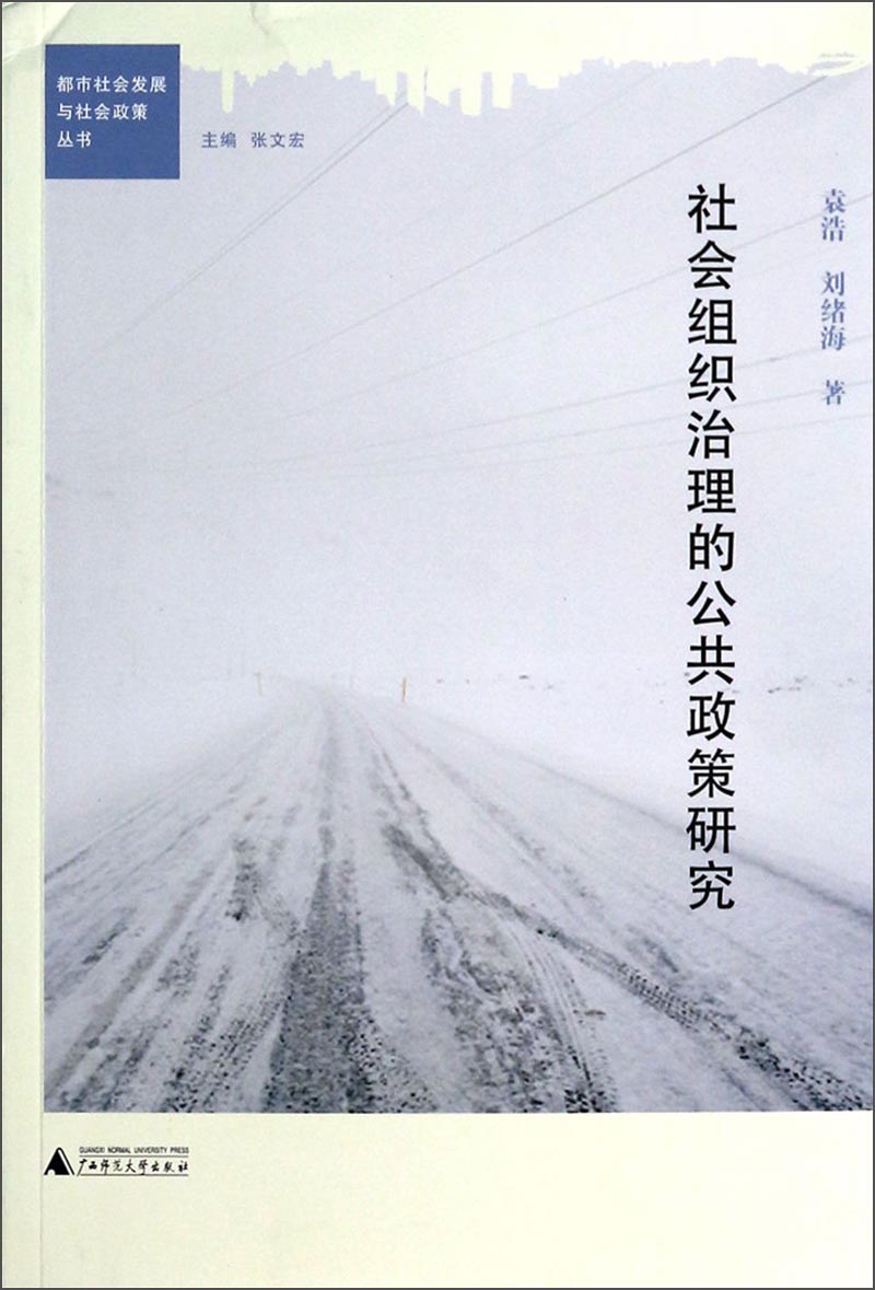 正版现货 社会组织治理的公共政策研究9787549523382广西师范大学