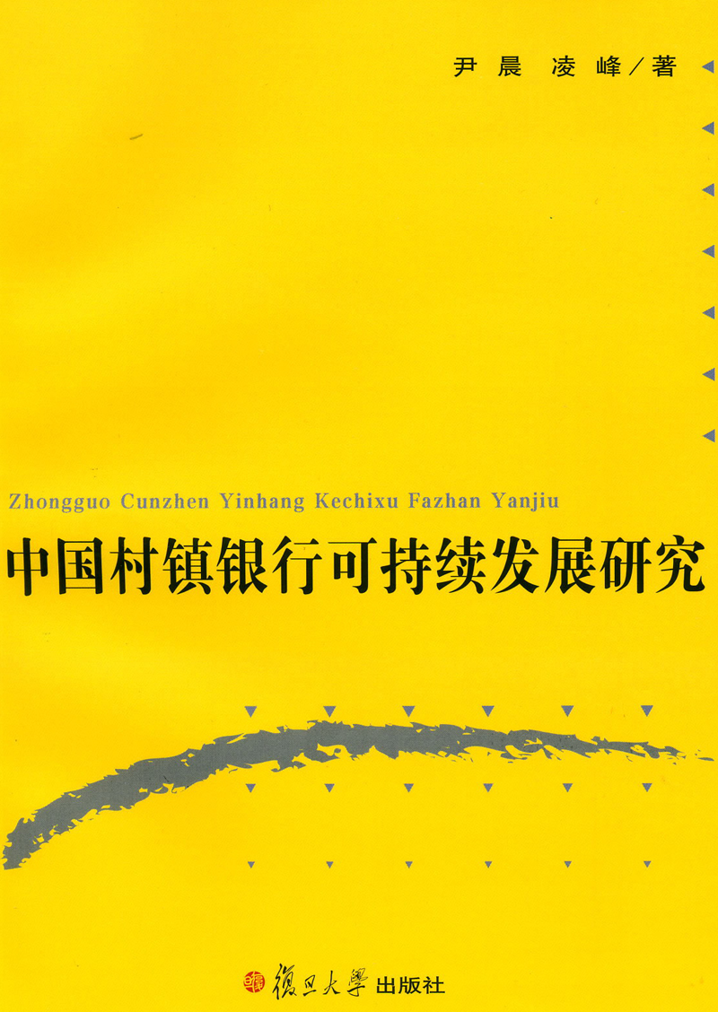 中国村镇银行可持续发展研究