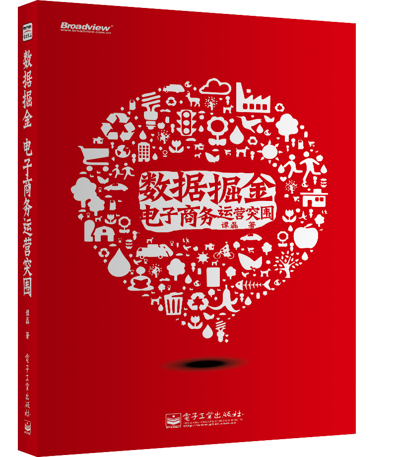数据掘金 电子商务运营突围(博文视点出品)