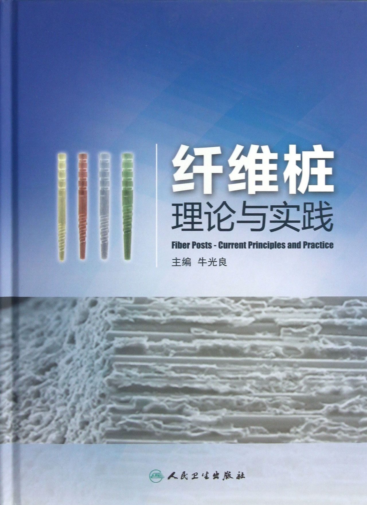 纤维桩理论与实践(精)
