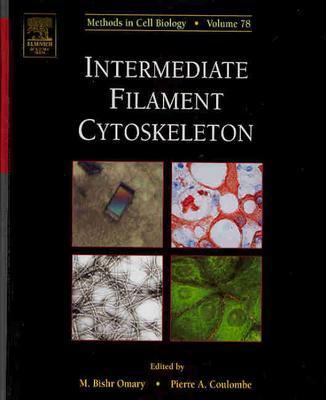 Intermediate Filam