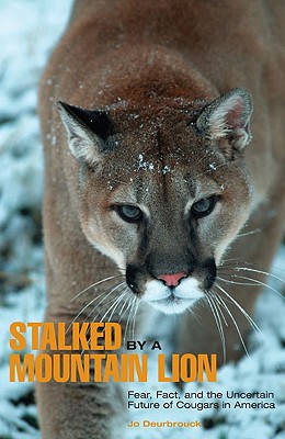 【预订】stalked by a mountain lion: fear, fact