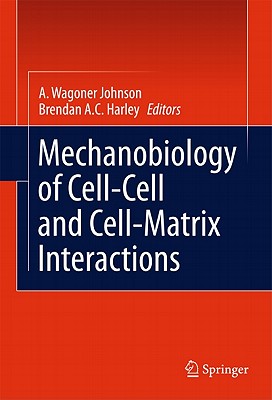 Mechanobiology of Cell-Cell and