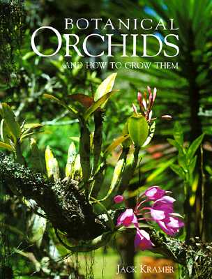 Botanical Orchids