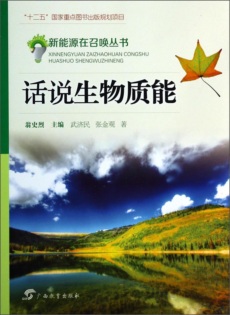 新能源在召唤丛书：话说生物质能