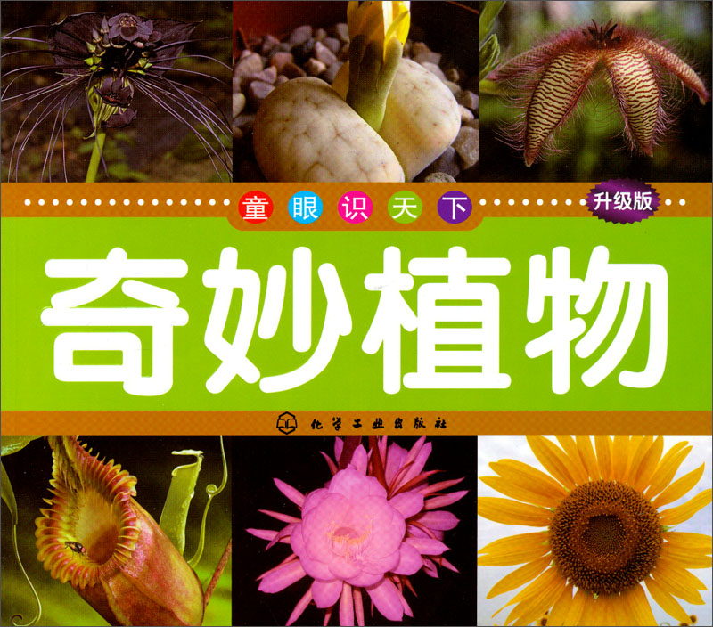 童眼识天下：奇妙植物（升级版）