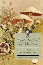 Our Edible Toadstools and