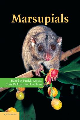【预订】marsupials