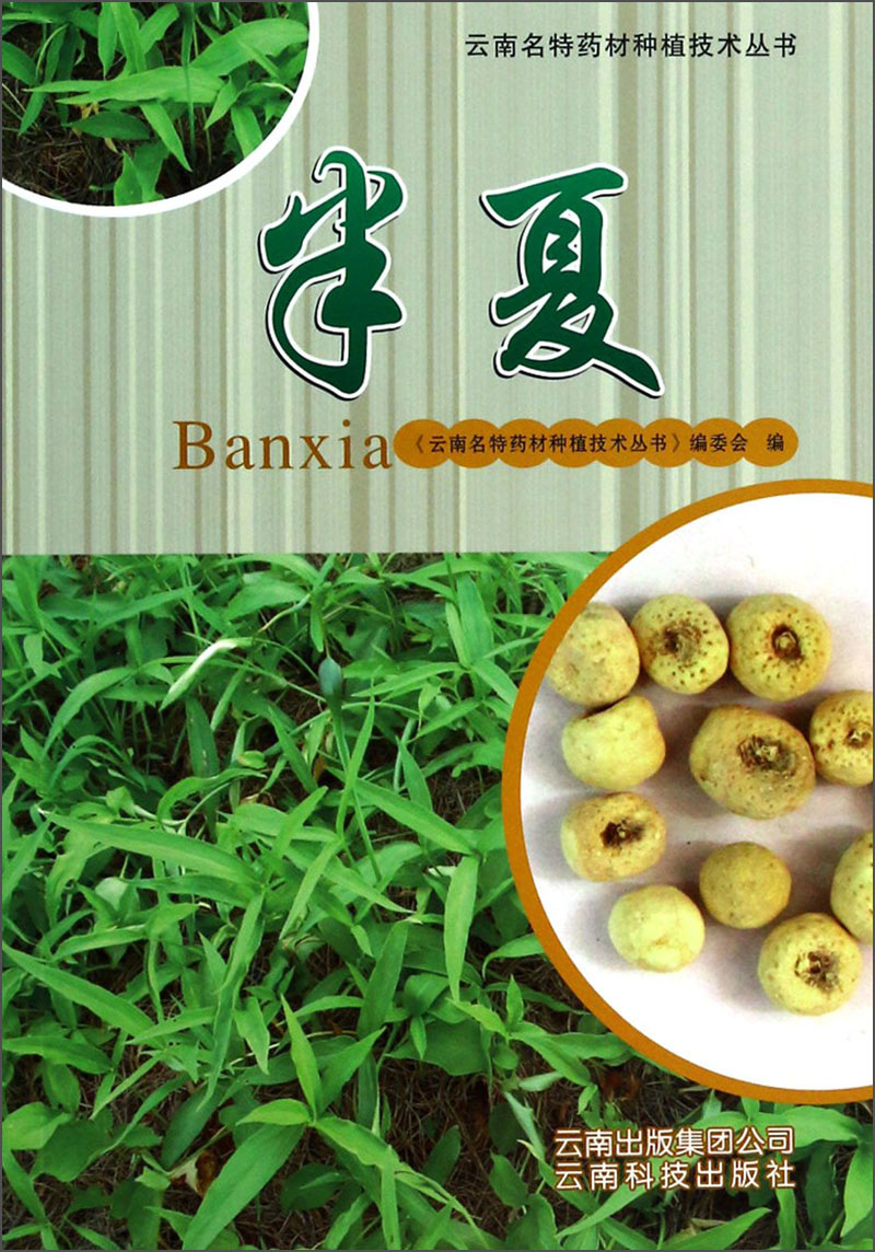 云南名特药材种植技术丛书：半夏