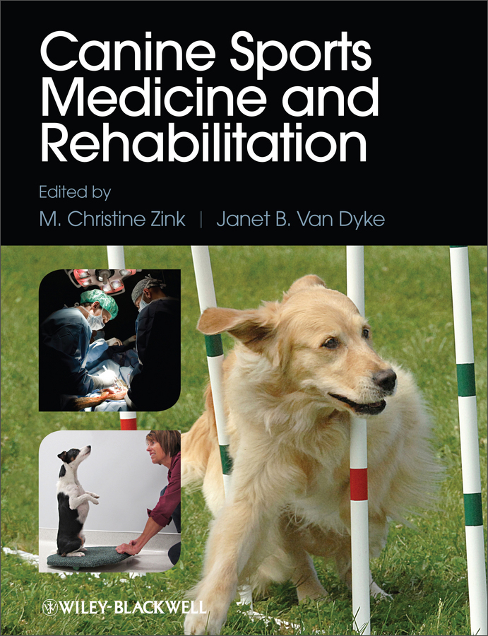canine sports medicine and rehabilitation