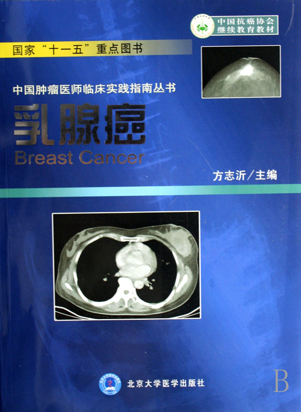 乳腺癌/中国肿瘤医师临床实践指南丛书
