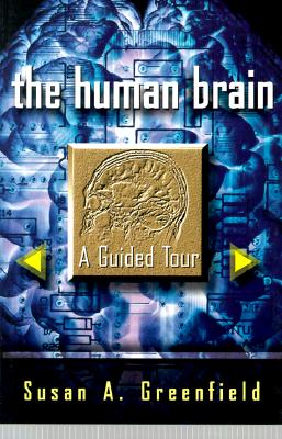 Human Brain: A Guided Tour