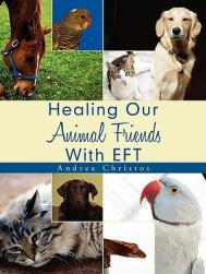 Healing Our Animal Friends with