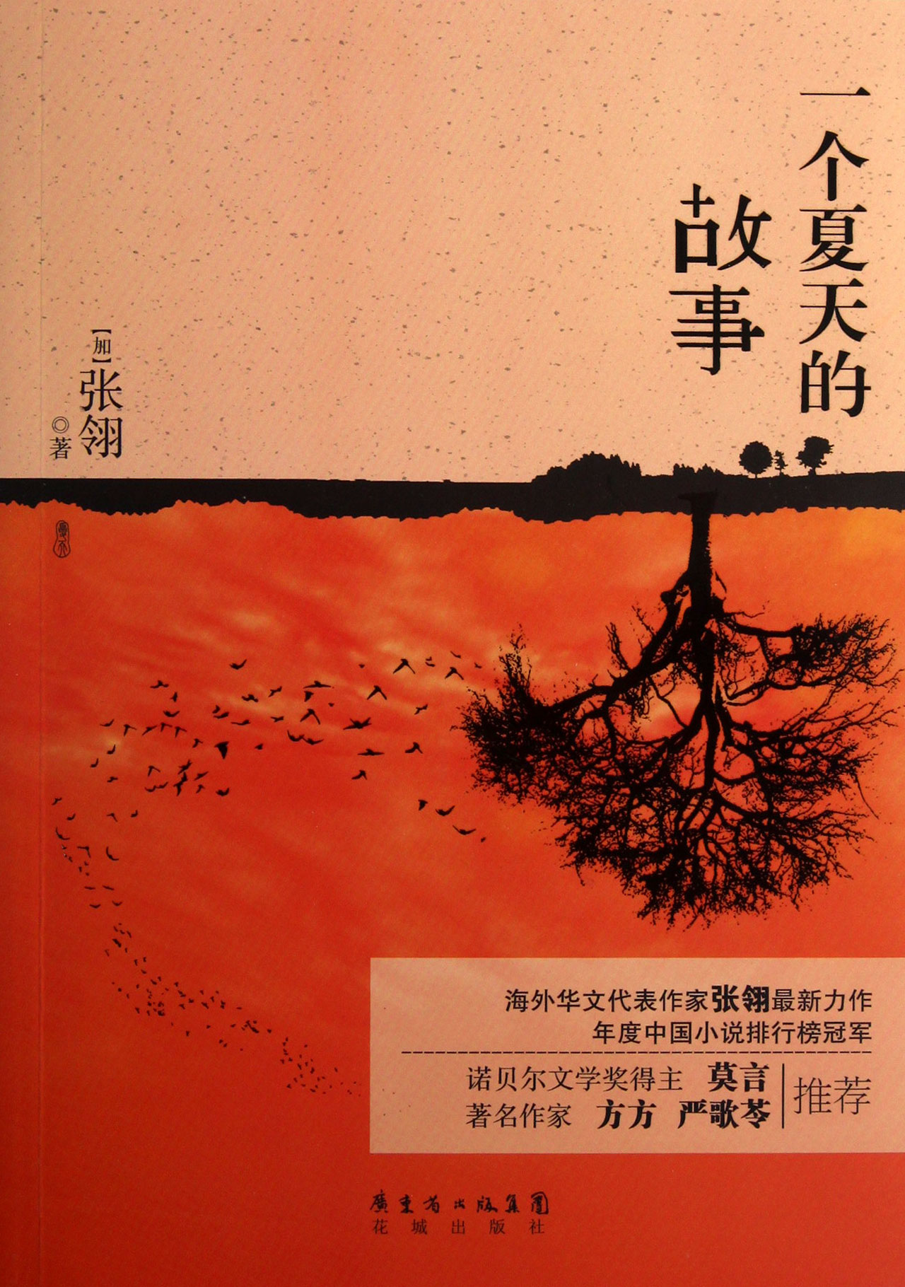 一个夏天的故事