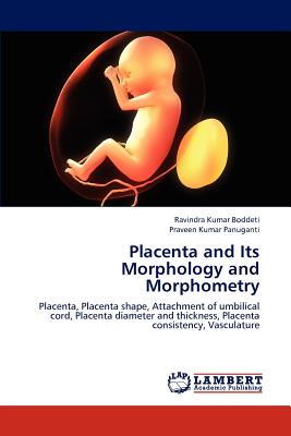 Placenta and Its Morphology and