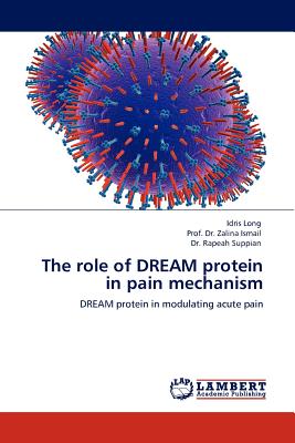 The Role of Dream Protein in P