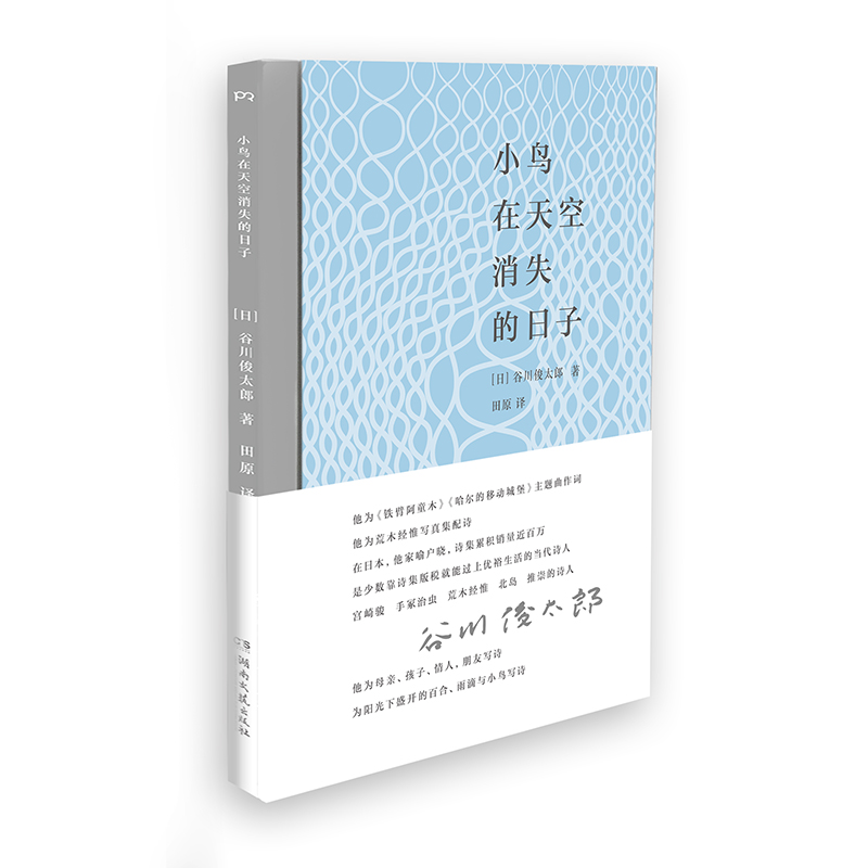 小鸟在天空消失的日子