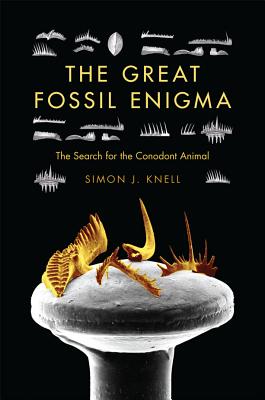 The Great Fossil Enigma: The Search for kindle格式下载