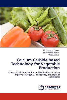 【预订】calcium carbide based technology for