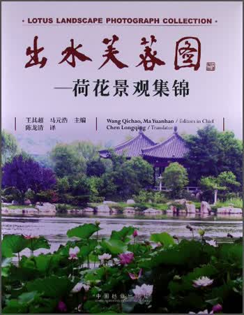 正版 出水芙蓉图—荷花景观集锦 9787503870453