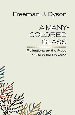 A Many-Colored Glass: Reflections on the