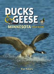 【预订】ducks & geese of minnesota field guide