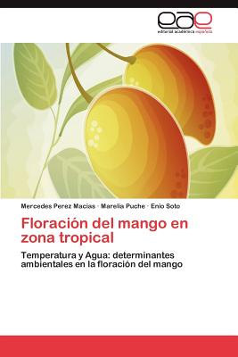 Floraci N del Mango En Zon