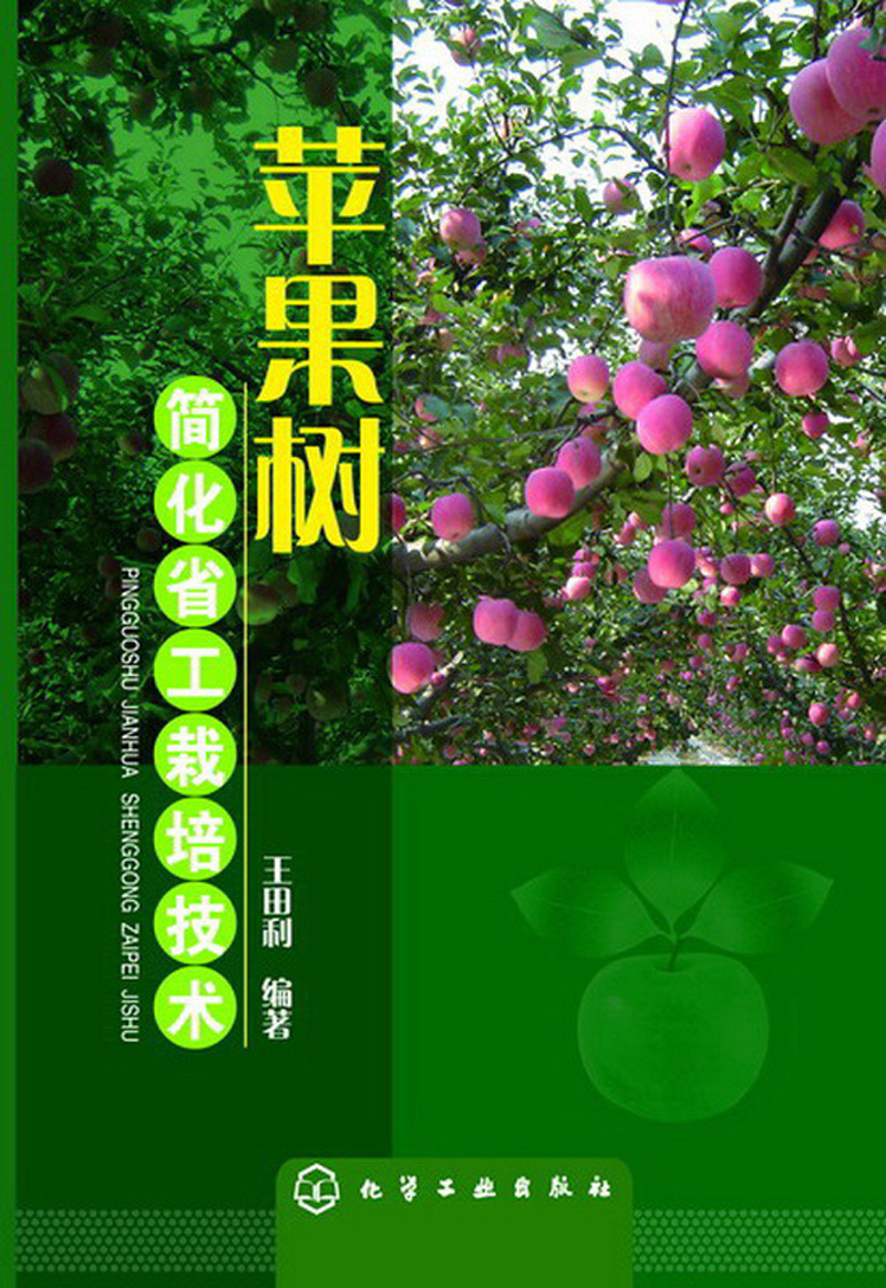 苹果树简化省工栽培技术