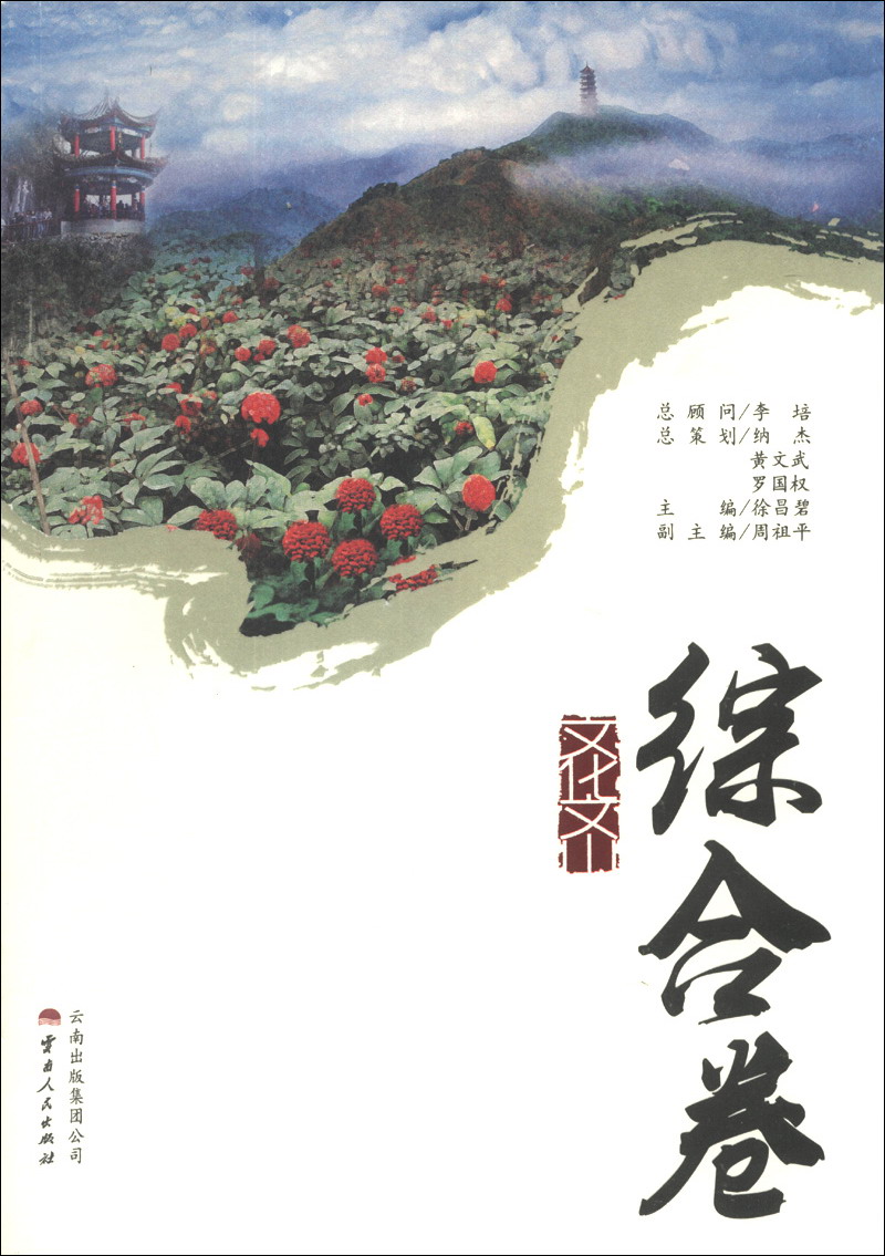文化文山(综合卷)