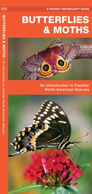 moths, 【预订】butterflies & moths: an introduction to