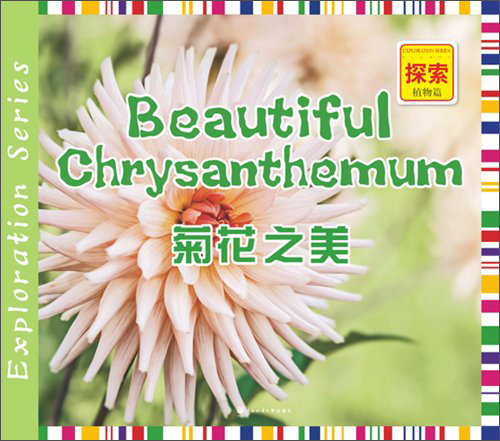 少儿科普:菊花之美(探索植物篇)