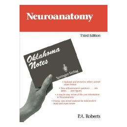 Neuroanatomy