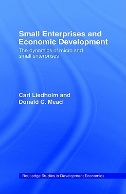 Small Enterprises and Economic