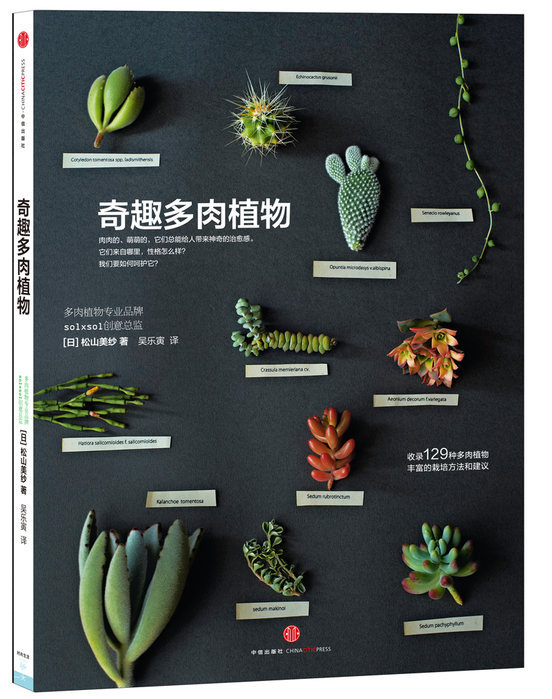 奇趣多肉植物