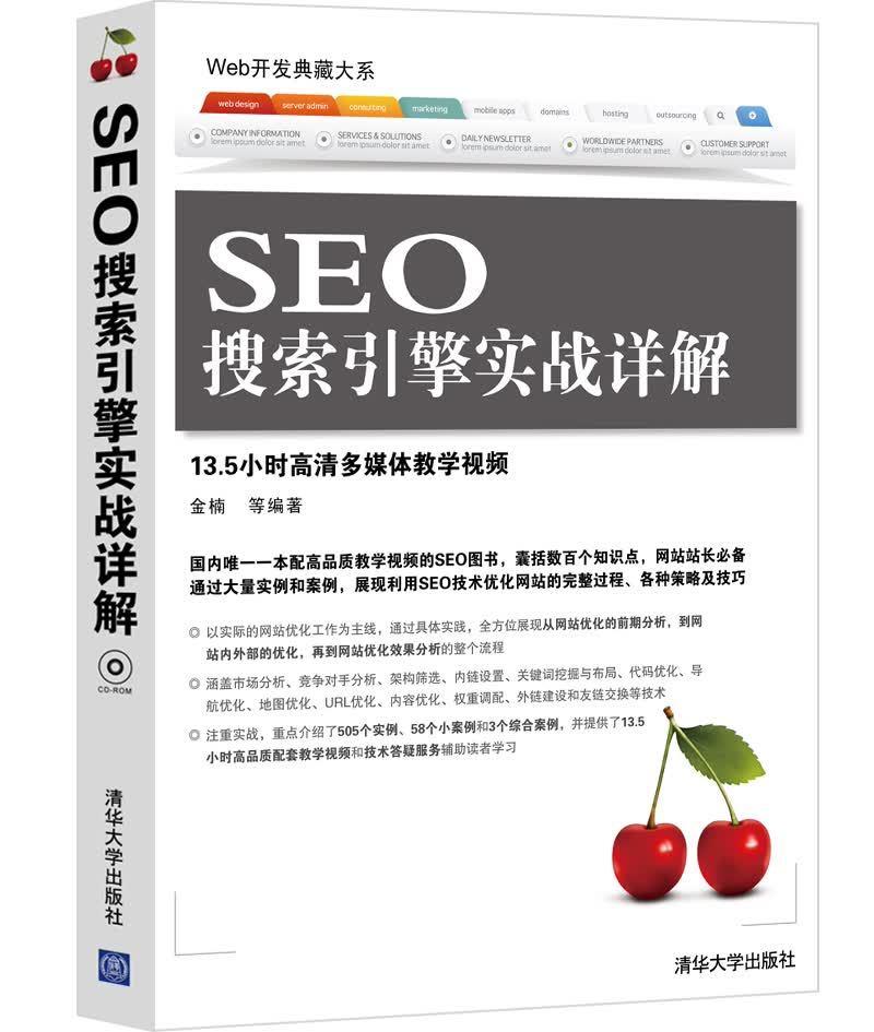 Web开发典藏大系：SEO搜索引擎实战详解（附CD-ROM光盘1张）