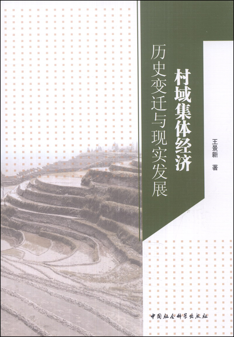 村域集体经济：历史变迁与现实发展