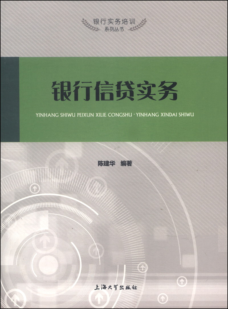 银行实务培训系列丛书：银行信贷实务